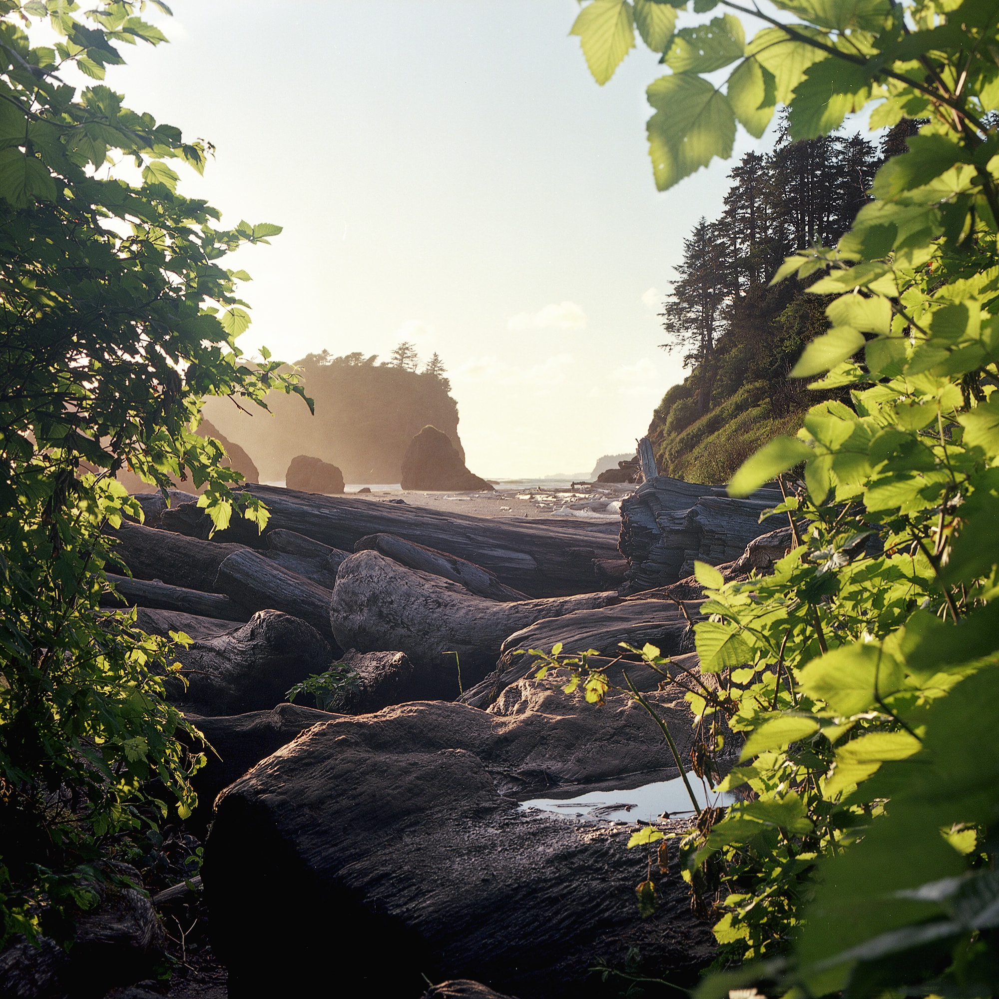 ZWilke-Olympic-RubyBeach-1