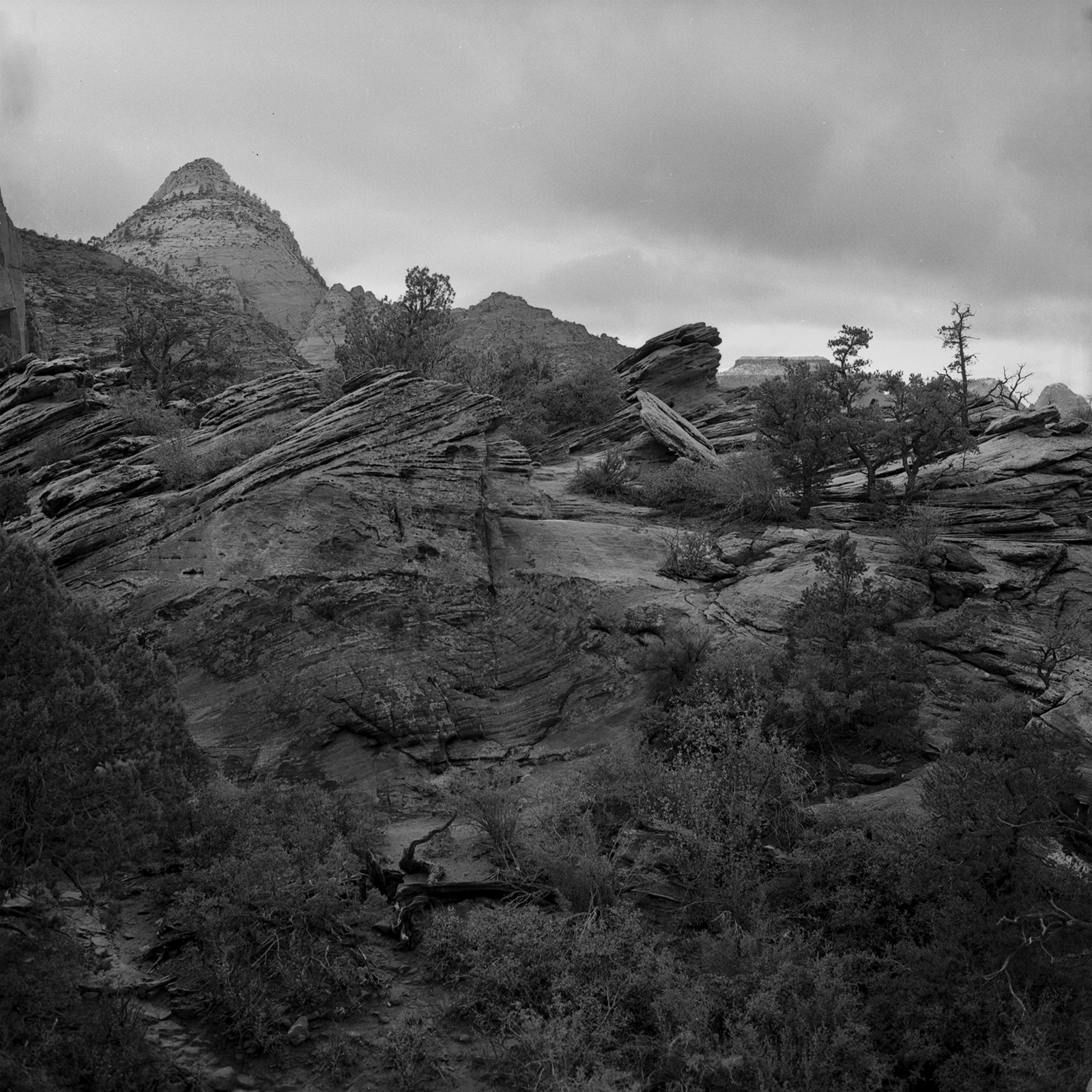 Zion copy